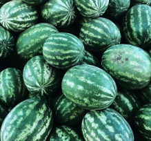 Melons Fruit